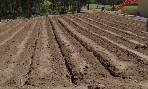 irrigation